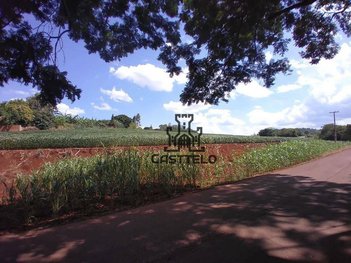 commercial_property em Rodovia PR-445, Conjunto Habitacional Jamile Dequech - Londrina - PR