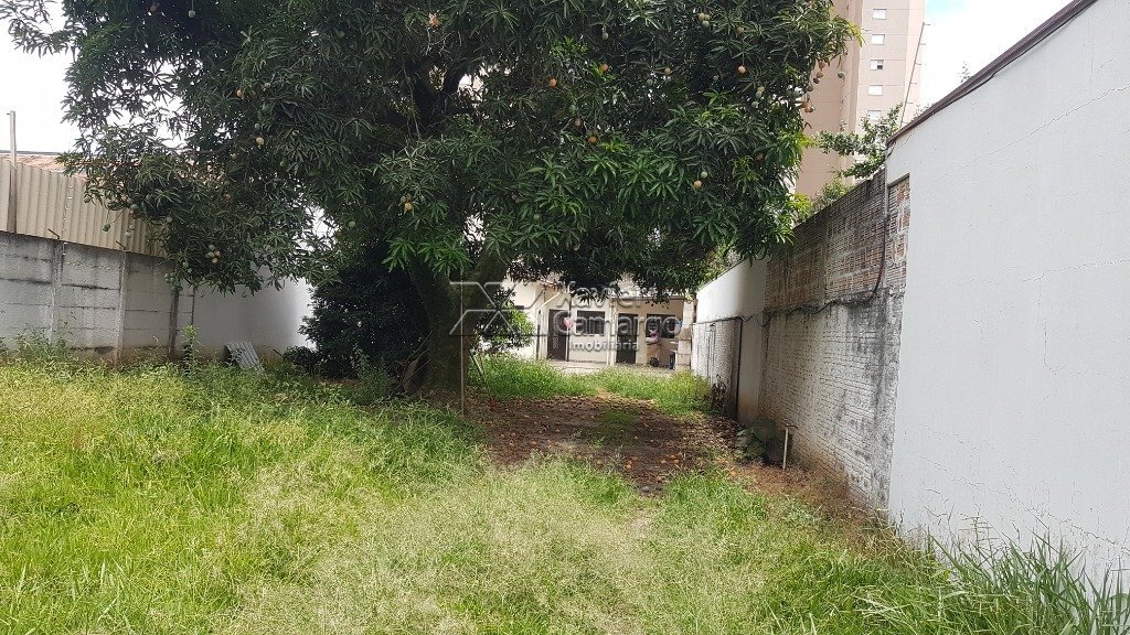 Vista frente