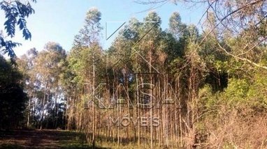 commercial_building em Estrada Passo da Taquara, Centro - Capela de Santana - RS