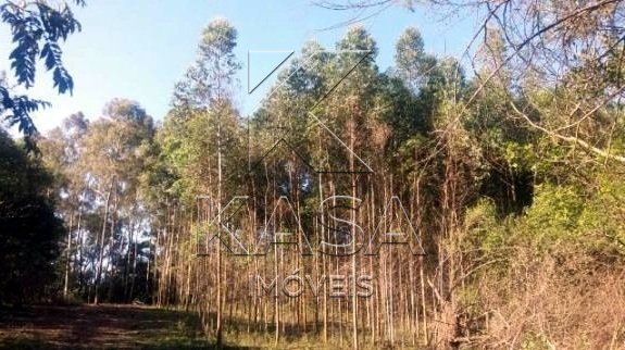 | Foto_migracao | 01