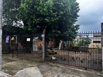 land_lot em Rua Wilson Szeckir, Feitoria - São Leopoldo - RS