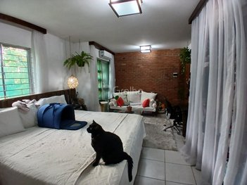 apartment em Doutor Abel Capela, Coqueiros - Florianópolis - SC