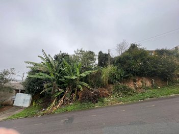 land_lot em Rua Antônio Rogério da Silva Rosa, Roça Grande - Colombo - PR
