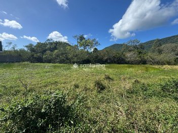 land_lot em Avenida Deputado Diomício Freitas, Carianos - Florianópolis - SC
