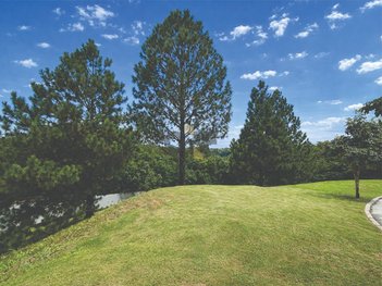 land_lot em Avenida das Caúnas, Granja Viana - Carapicuíba - SP