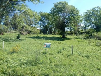 land_lot em Rua Bazilizio Vasconcellos, Armour - Sant'Ana do Livramento - RS