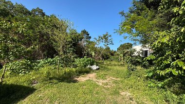 land_lot em Servidão Pedro Manoel Borba, Pântano do Sul - Florianópolis - SC