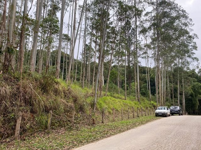 image-0