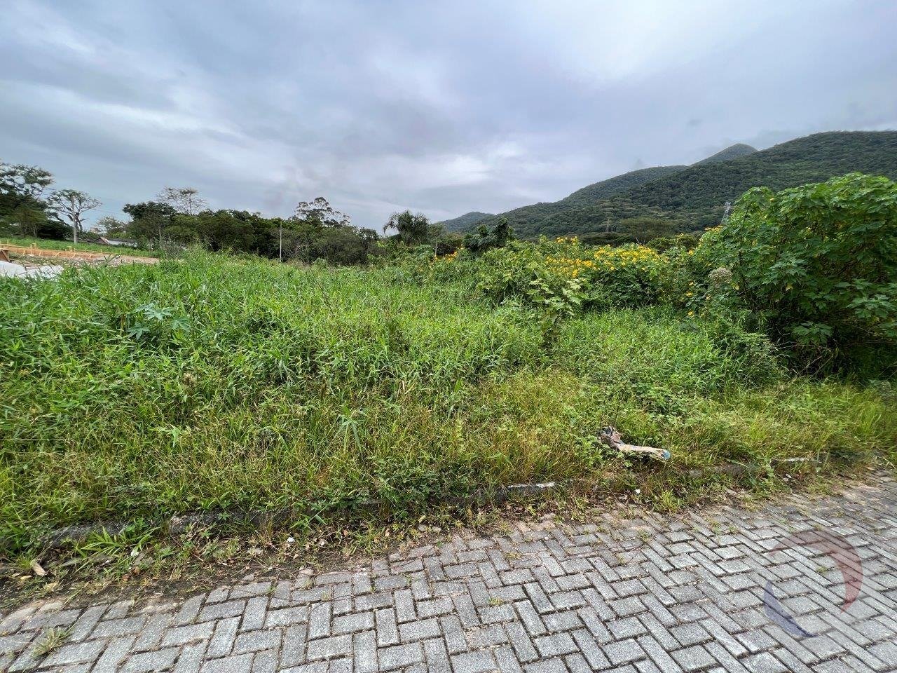 Lote 11 - Quadra e SEM Placa