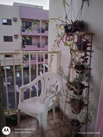 apartment em Rua José Picerni, Jardim Panorama - São José do Rio Preto - SP
