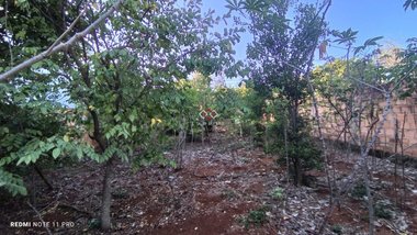 land_lot em Alameda Armindo Rodrigues, Lundcea - Lagoa Santa - MG