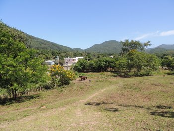 land_lot em Estrada Manoel Leôncio de Souza Brito, Vargem Pequena - Florianópolis - SC