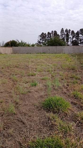 land_lot em Estrada Vicinal José Maria Verdini, Jardim Olaria (Potunduva) - Jaú - SP
