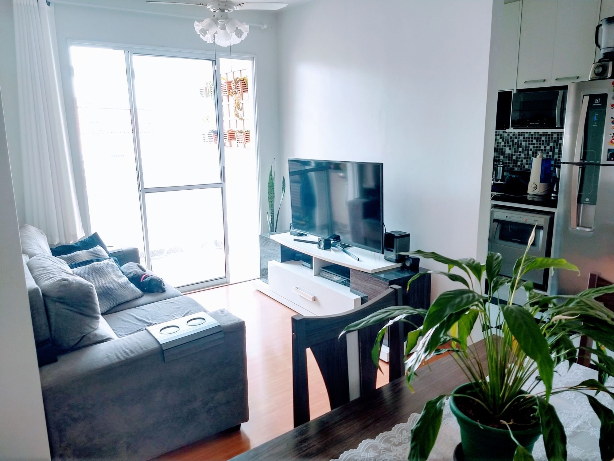 Apartamento para Venda por R$315.000,00 com 60m², 2 dormitórios e 1 vaga - Sítio do mandaqui, São paulo / SP - Foto 3