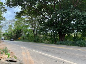 agricultural em Rua Joaquim Pimenta Filho, Quintas Passa-tempo - Ponte Nova - MG