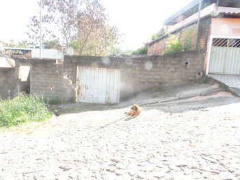 industrial em Sabará, Nossa Senhora das Graças - Divinópolis - MG