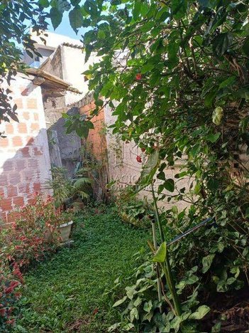 land_lot em Rua Maria Antonieta, Vila São Pedro - Santo André - SP