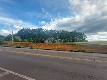 land_lot em Rodovia SC-283, Santo Antônio - Concórdia - SC