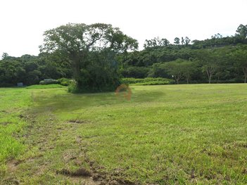 land_lot em Rodovia Presidente Castello Branco, Fazenda Boa Vista I - Porto Feliz - SP