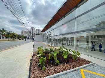 business em Rua Votorantim, Barcelona - São Caetano do Sul - SP