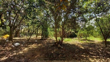 land_lot em Rua Mário Boari de Tamassia, Village Campinas - Campinas - SP