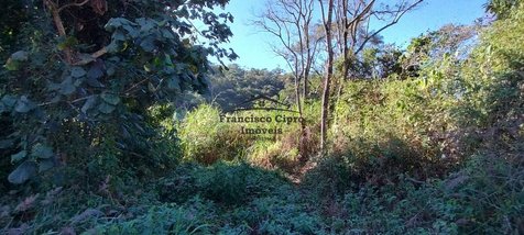 land_lot em Rodovia Paulo Virginio, Cedro - Cunha - SP