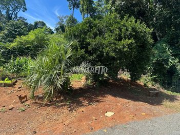land_lot em Rua Devaldino Josoel Benelli, São Cristóvão - Concórdia - SC