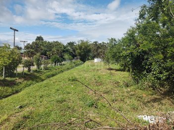 land_lot em Rodovia José Carlos Daux, Saco Grande - Florianópolis - SC
