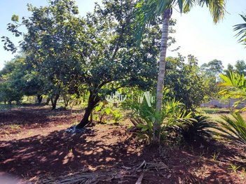 agricultural em Rua Lirios-dos-vales, Parque das Indústrias - Londrina - PR