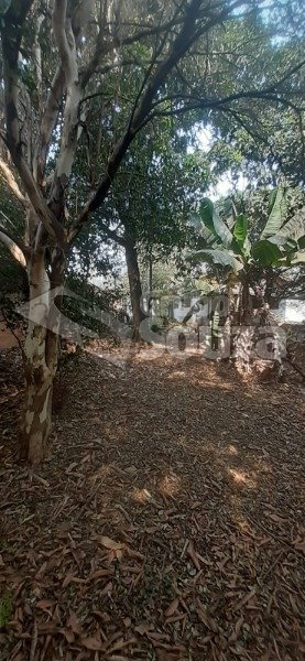 Imagem do WhatsApp de 2024-09-18 à(s) 15.09