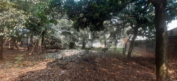 Imagem do WhatsApp de 2024-09-18 à(s) 15.09