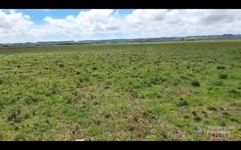 commercial_building em Viamao, Centro - Viamão - RS