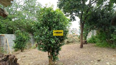 land_lot em Rua Isao Sato, Taboão - São Bernardo do Campo - SP