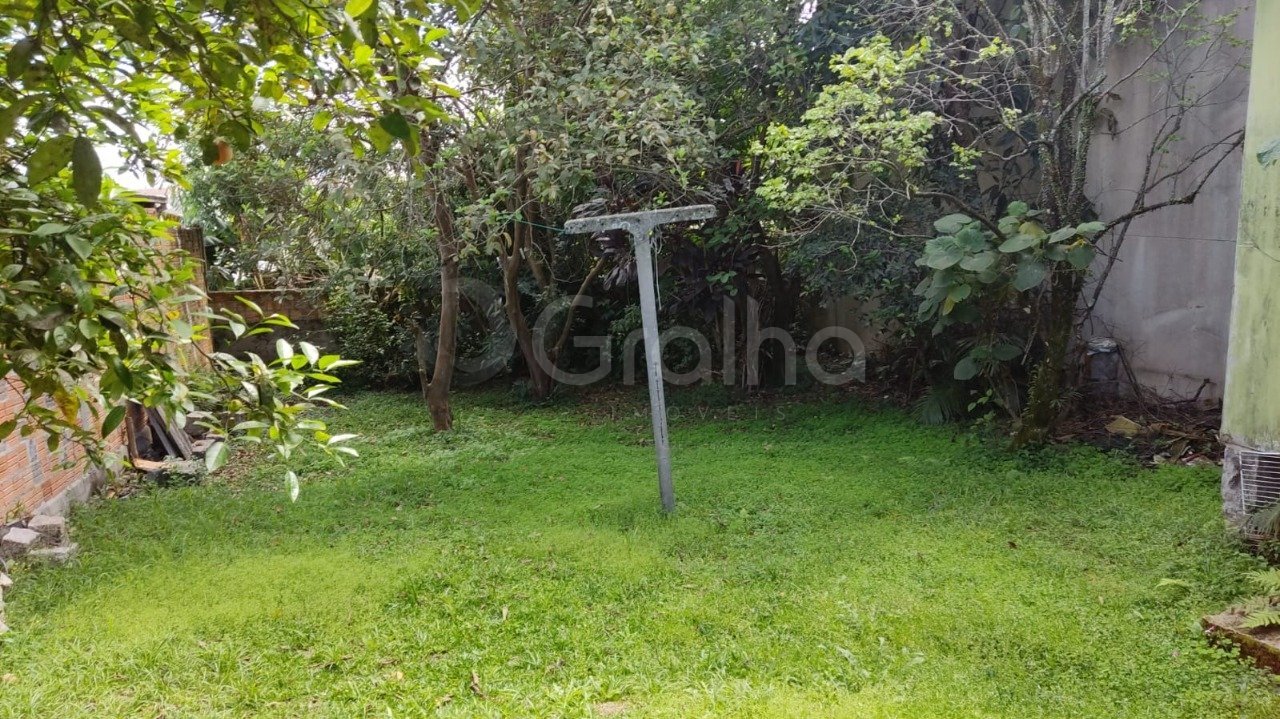 terreno 2