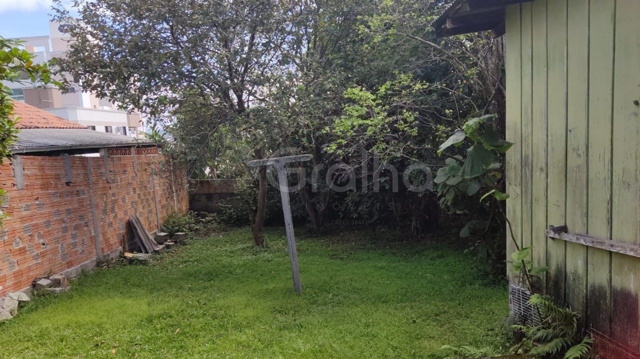 terreno 1