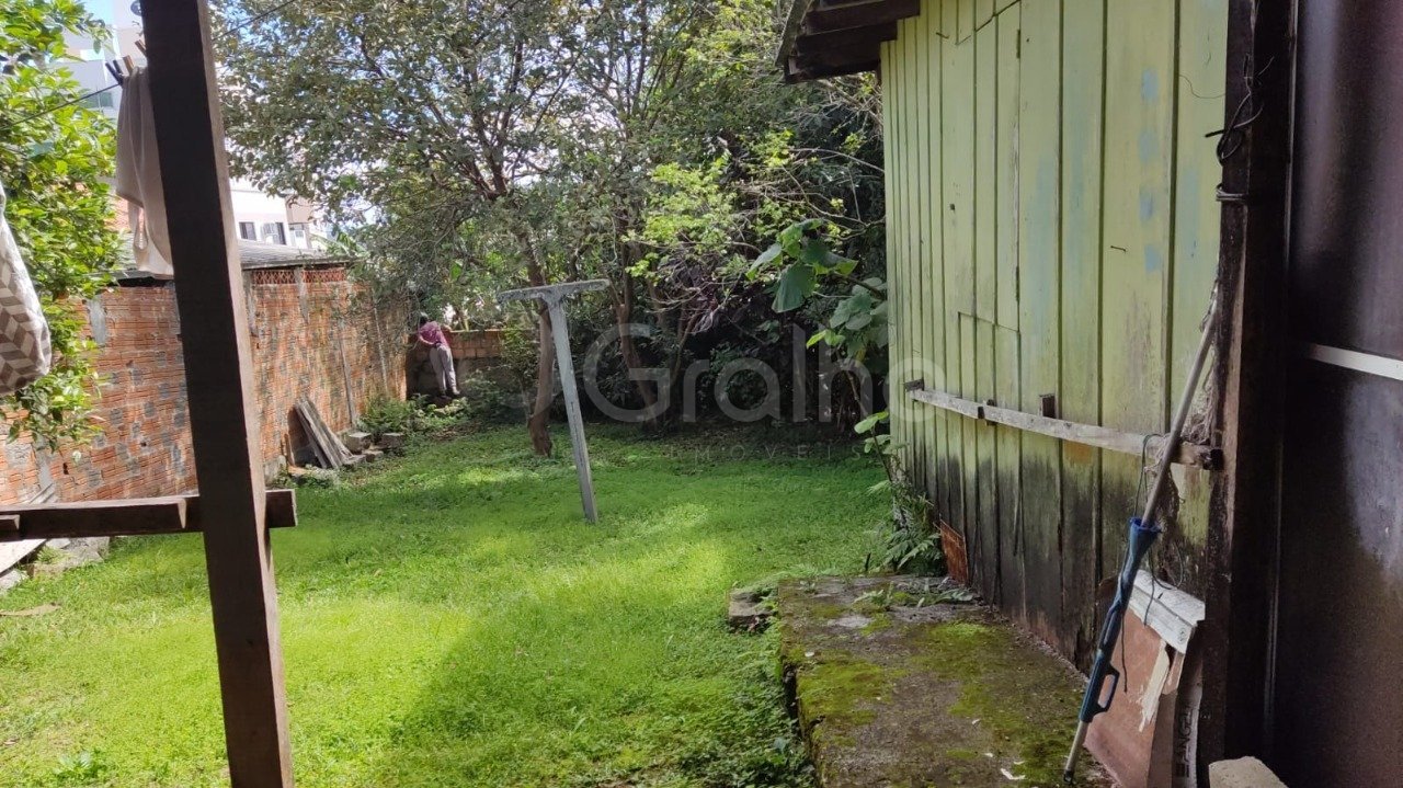 terreno 4