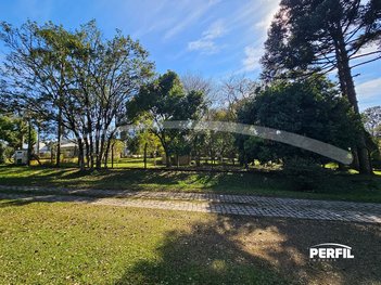 land_lot em Estrada Bento Osvaldo Trisch, Pedancino - Caxias do Sul - RS