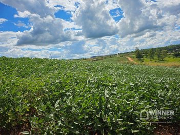 land_lot em Estrada 150, Zona Rural - Mandaguaçu - PR