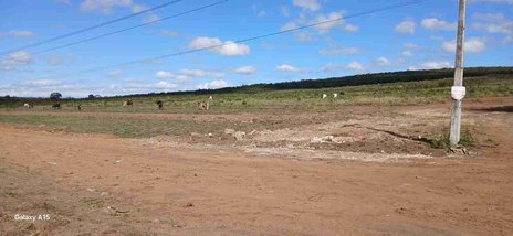 land_lot em Rodovia Conquista-Barra do Choça, Universidade - Vitória da Conquista - BA