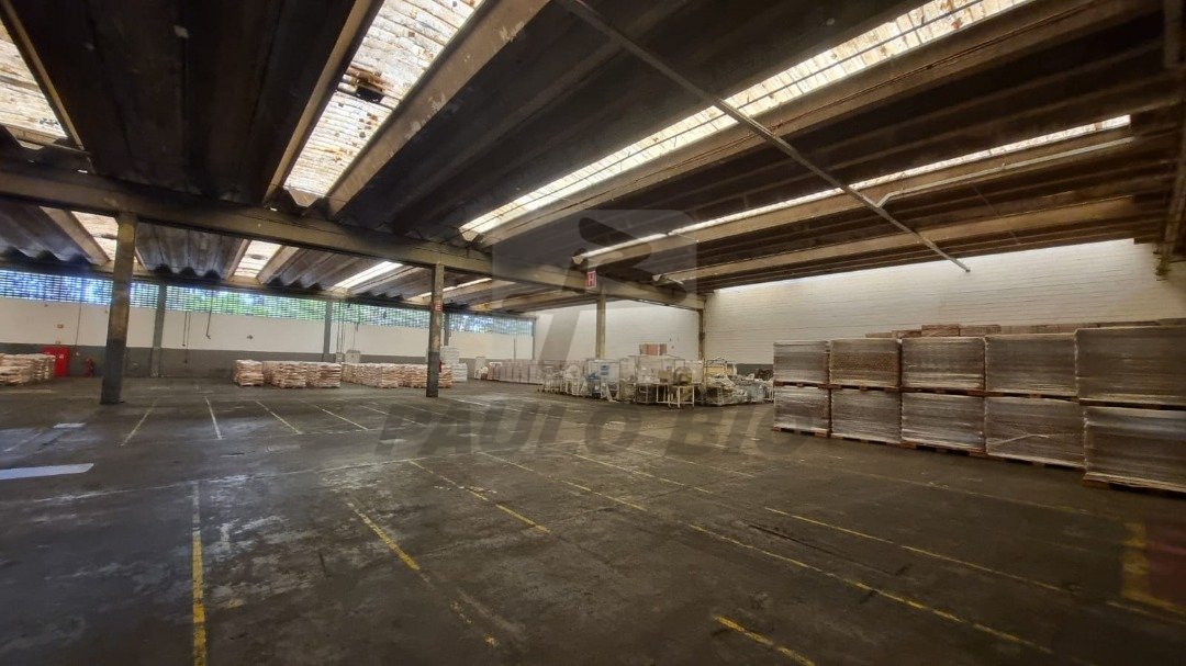 WhatsApp Image 2025-03-10 at 18.31