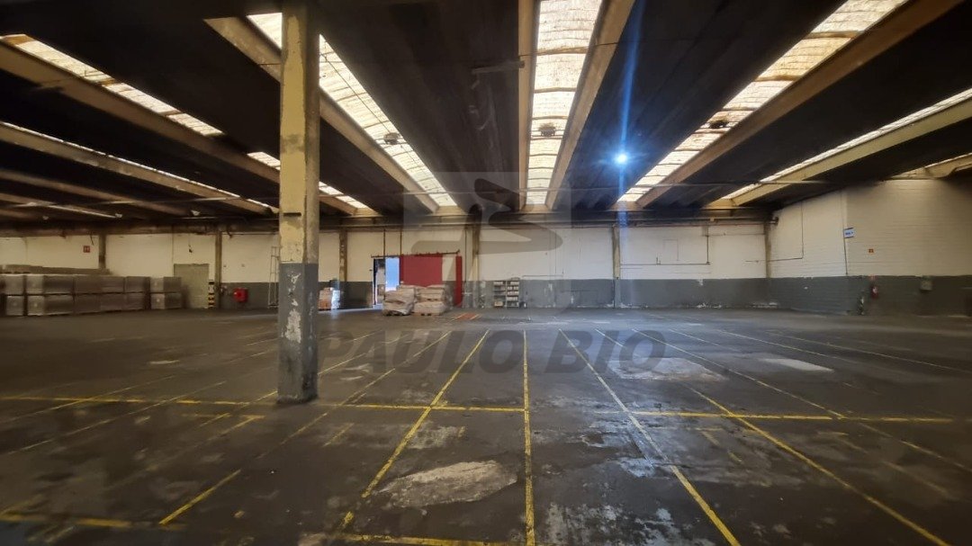 WhatsApp Image 2025-03-10 at 18.31