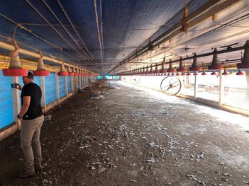 agricultural em estrada vicinal, Área Rural de Itapuí - Itapuí - SP