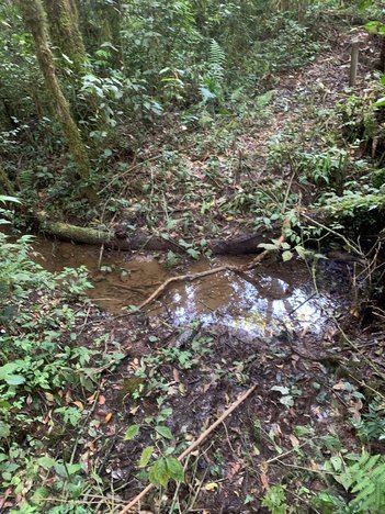 land_lot em Rua Carlos Kusma, Campestre da Faxina - São José dos Pinhais - PR