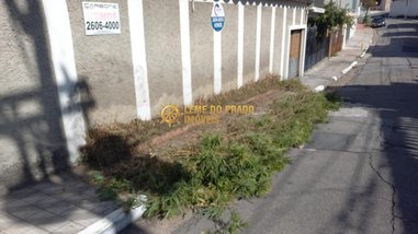 house em Rua Félix Lattuada, Vila Oratório - São Paulo - SP