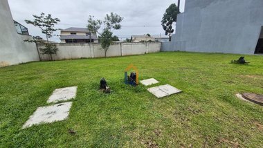 land_lot em Rua Mário Gomes Cézar, Pinheirinho - Curitiba - PR