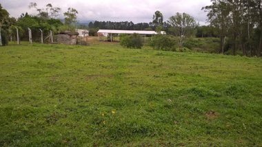 land_lot em Avenida Ely Corrêa, Jardim do Cedro - Gravataí - RS