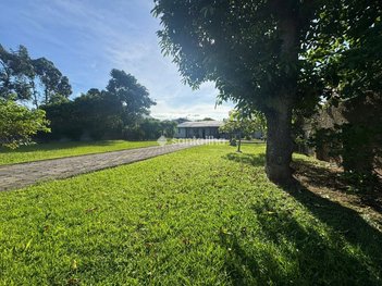 land_lot em Rua Jardim dos Eucaliptos, Campeche - Florianópolis - SC