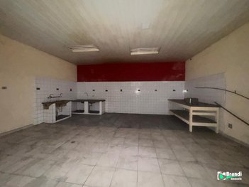 business em Rua das Giestas, Vila Bela - São Paulo - SP