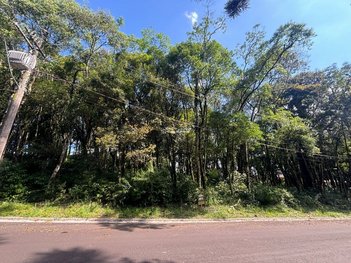 land_lot em Rua Osvaldo Roloff, Lagos do Bosque - Gramado - RS