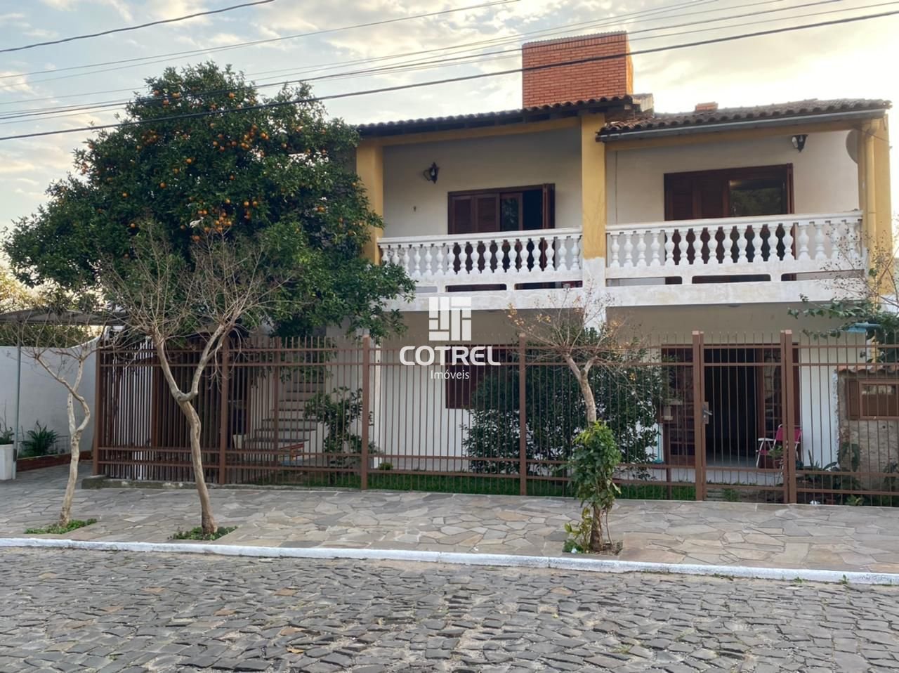 img16371899
